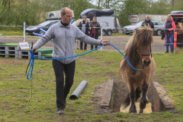 Agility Svaer 050