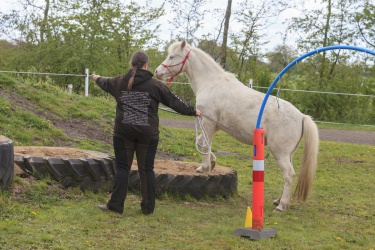 Agility Svaer 055