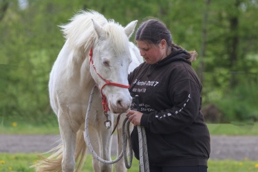 Agility Svaer 056