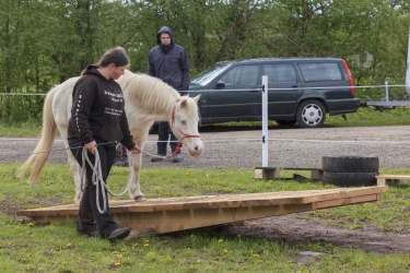 Agility Svaer 061