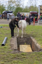 Agility Svaer 063