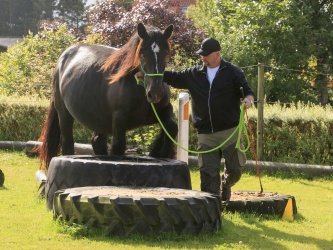 Agility Stald Pitstop 012