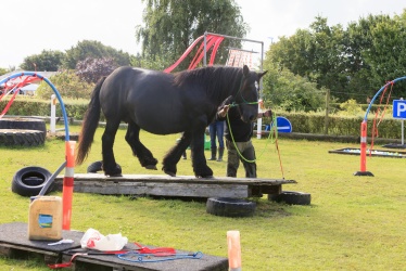 Agility Stald Pitstop 018