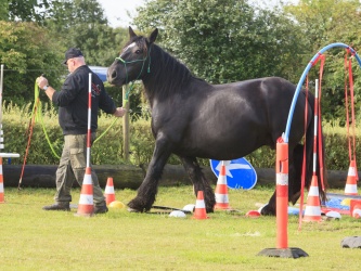 Agility Stald Pitstop 021