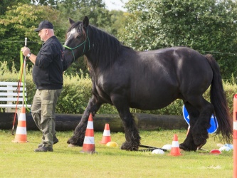 Agility Stald Pitstop 022