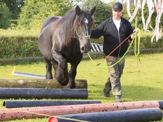 Agility Stald Pitstop 024