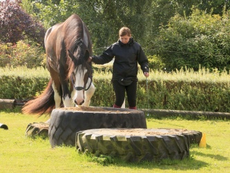 Agility Stald Pitstop 030