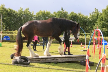 Agility Stald Pitstop 040