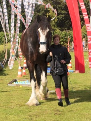 Agility Stald Pitstop 046