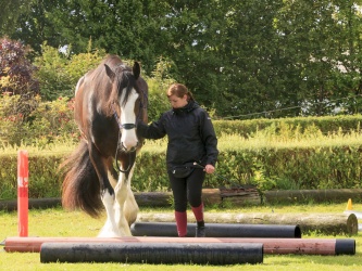 Agility Stald Pitstop 047