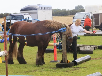 Agility Stald Pitstop 054