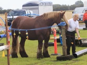Agility Stald Pitstop 055