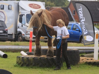 Agility Stald Pitstop 057