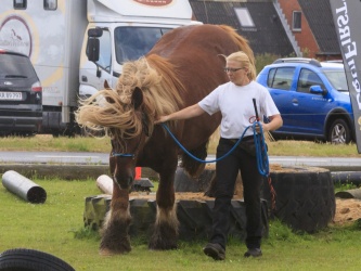 Agility Stald Pitstop 058