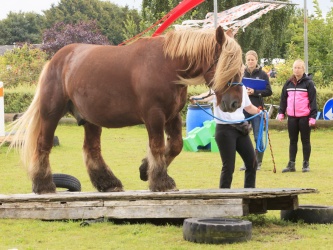 Agility Stald Pitstop 060