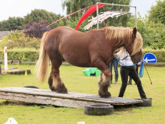 Agility Stald Pitstop 062