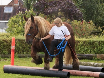 Agility Stald Pitstop 073