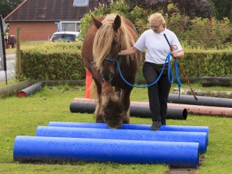 Agility Stald Pitstop 074