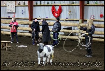 Roping-009