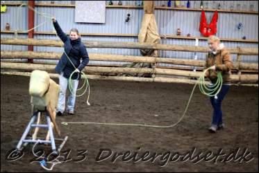 Roping-557