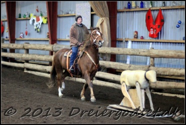 Roping-177
