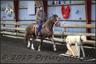 Roping-178