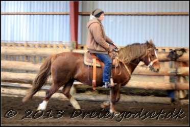 Roping-179