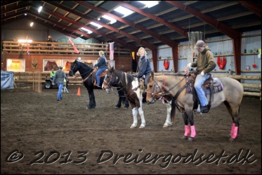 Roping-180