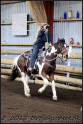 Roping-182