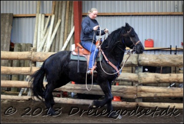 Roping-190
