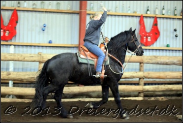 Roping-194