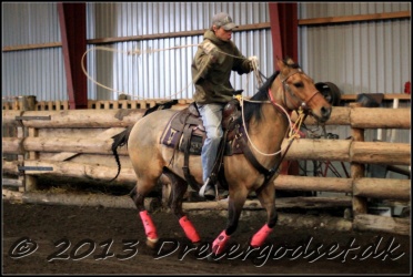 Roping-198