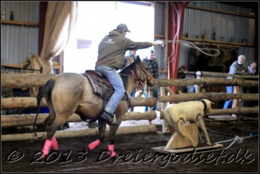 Roping-200
