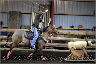 Roping-226