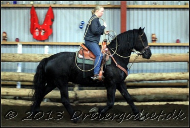 Roping-227