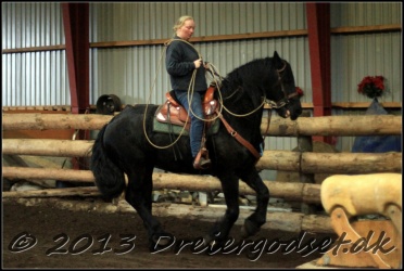 Roping-228