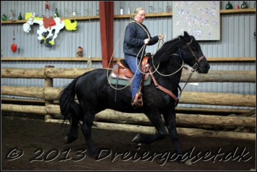 Roping-232