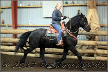 Roping-233