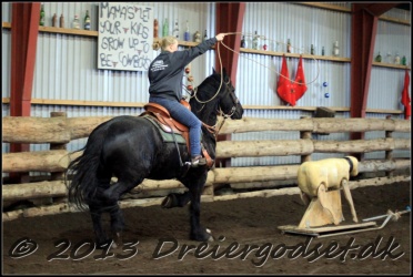 Roping-234