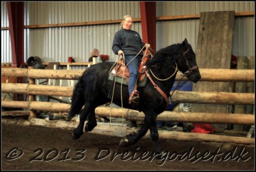 Roping-235