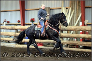 Roping-236