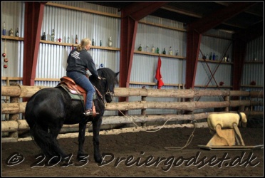 Roping-238