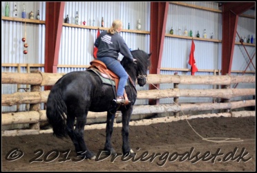 Roping-239
