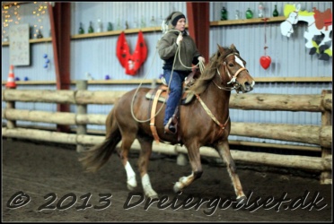 Roping-240