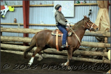 Roping-245