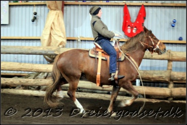 Roping-247