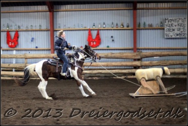 Roping-269