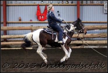 Roping-270