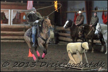 Roping-290