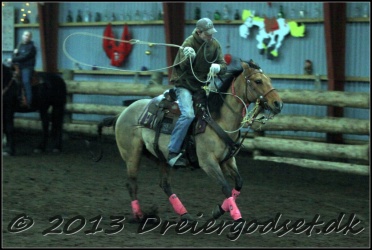 Roping-293